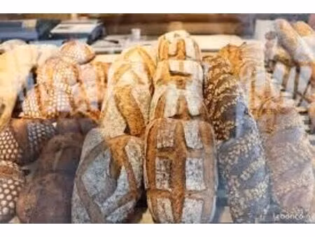 autres activités  services perigueux