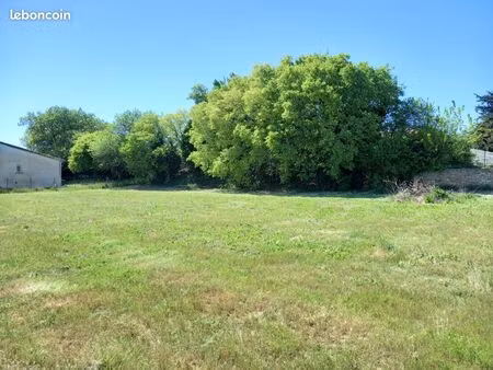 terrain constructible