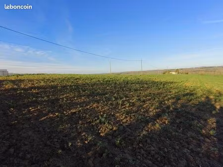 terrain 1 008 m² gimont