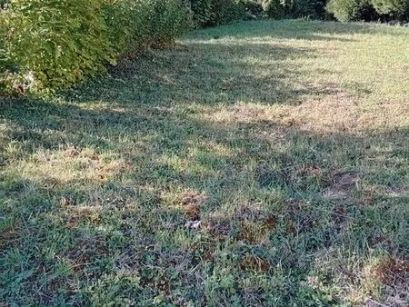 terrain a batir a ventre