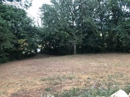 terrain constructible