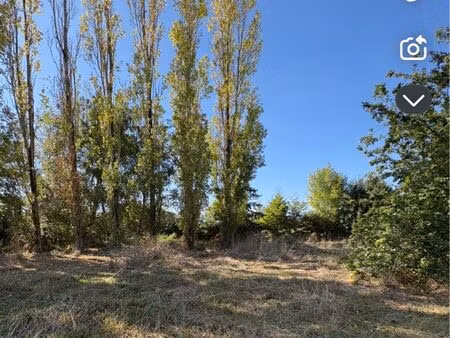 terrain constructible