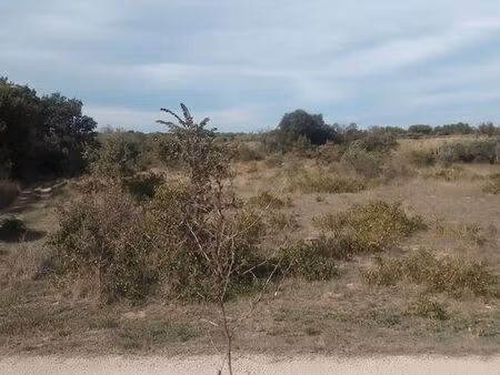 terrain agricole ou de loisir