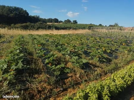 terrain agricole 1/2 hectare hérault(34)