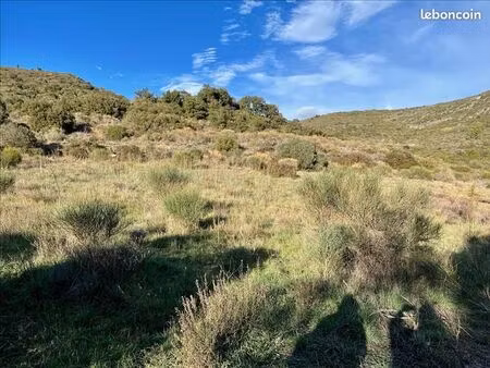 terrain 34 044 m² vailhan