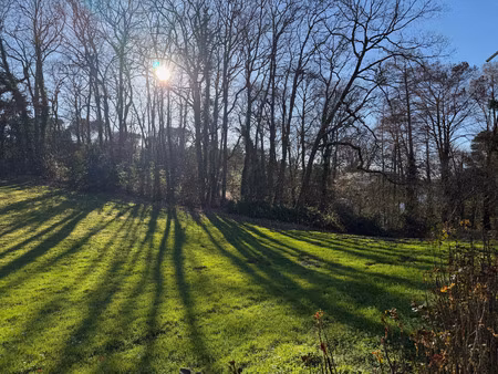 superbe environnement pour cet appartement