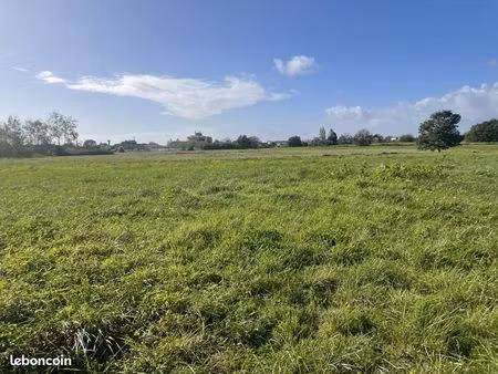 terrain 650 m² fronton