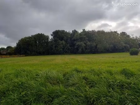 terrain 550 m² daignac