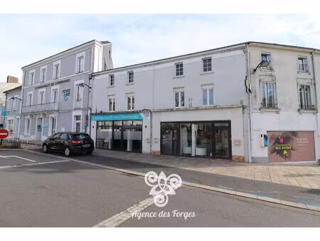 immeuble de rapport - maison 260 m² - centre bourg de vallet