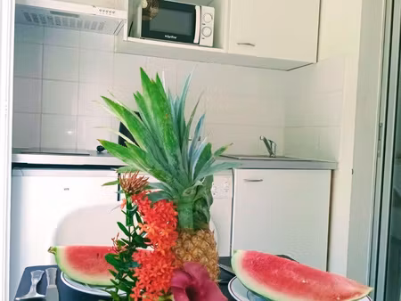 appartement t1 meuble a saint-francois