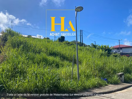 petite ile - ravine du pont terrains de 520m²