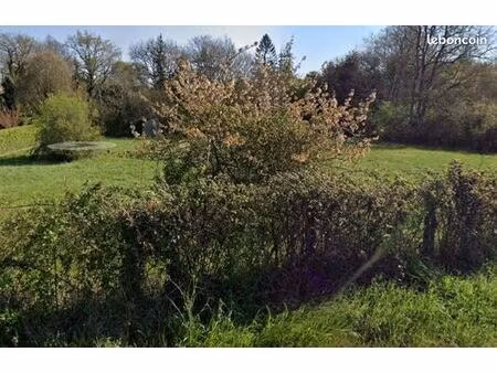 terrain 650 m² montussan