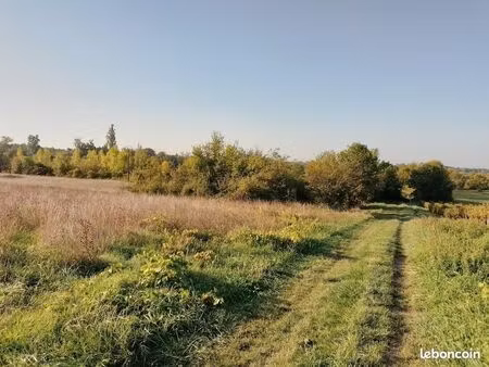 terrain 38 876 m2 zone a et n à prignac et marcamps gironde