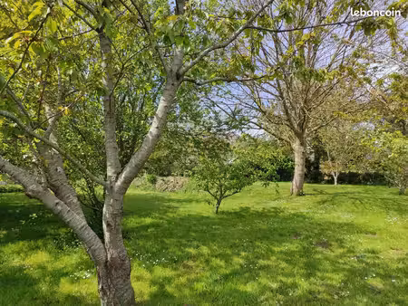terrain constructible  arboré et clos à vendre - 1600m2 - plougasnou  coeur du bourg