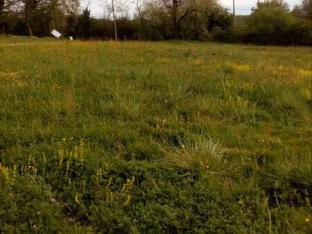 terrain constructible