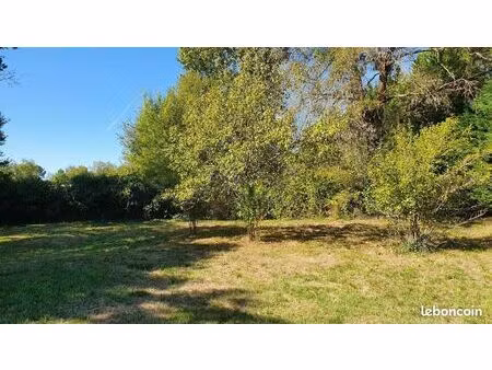 terrain 1 000 m² salleboeuf