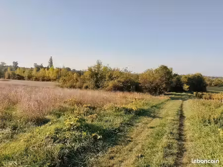 terrain non constructible 38 876 m2 agricole à 33710 prignac et marcamps