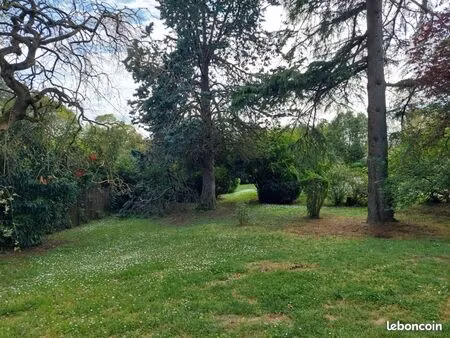 terrain 559 m² montrabe