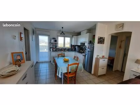 appartement t3  61m2