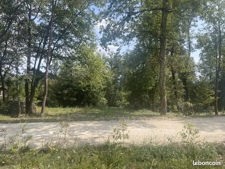 terrain 700 m² montussan