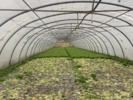 exploitation agricole a louer