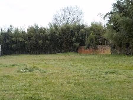 terrain 300 m² begles