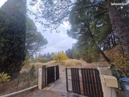 grand terrain constructible