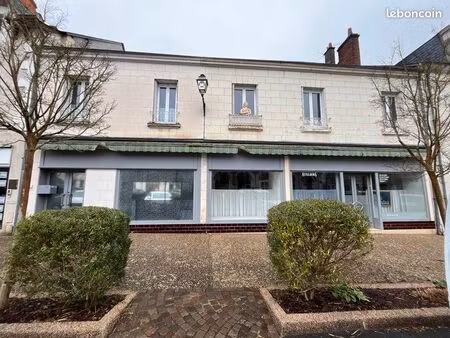 immeuble 376 m² valencay