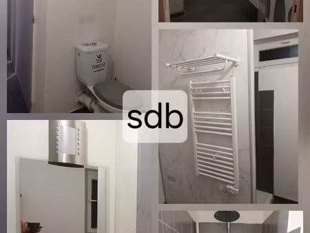 loue f2 48m2 terrasse jardin 515 cc