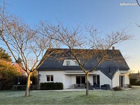 maison 9 pièces 190m2 saint-avertin