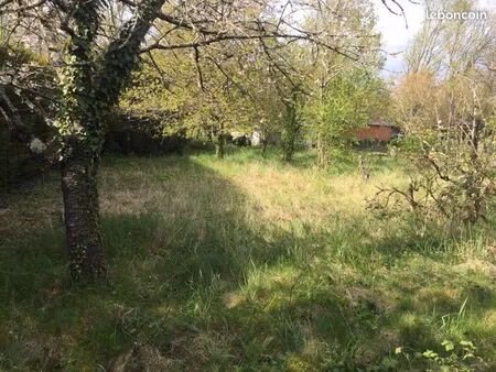 terrain paisible campagne