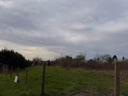 terrain noyé sur cher