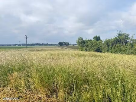 terrain 1 590 m² brabant le roi