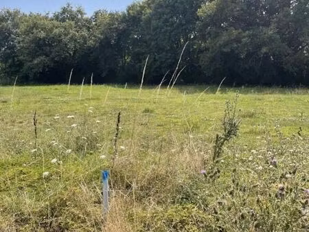 terrain 350 m² ecouflant