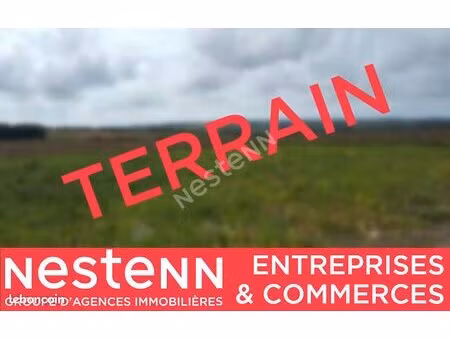 terrain 4500 m² le lion d angers