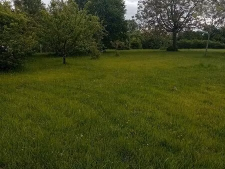 terrain constructible 2960 m2 pellevoisin