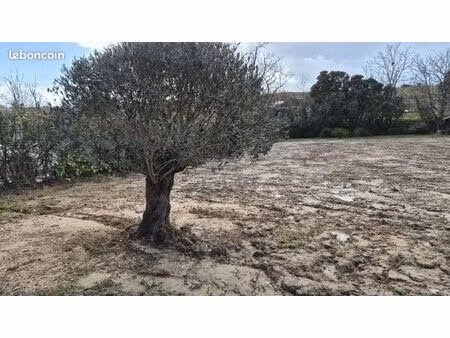 terrain 817 m² ramonville saint agne