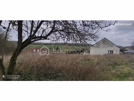 terrain 1 405 m² saint benin d azy