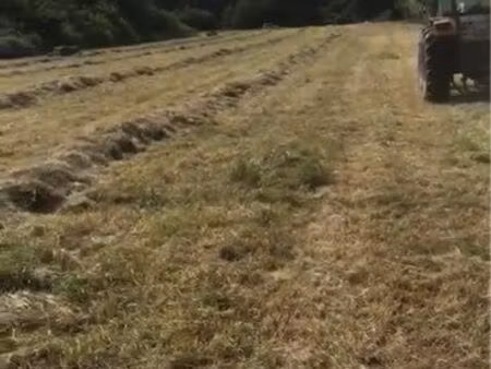 terrain agricole 18 000 m2