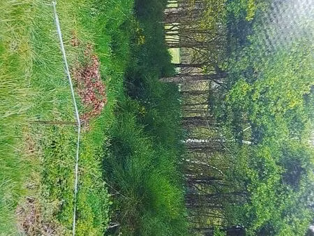 vend terrain de loisirs