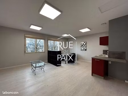 studio 1 pièce 45 m²