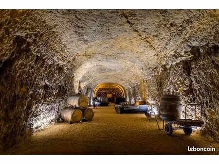 recherche cave à vendre