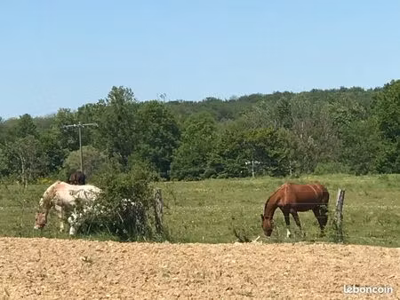 terrain à bâtir 6 km de saint dizier