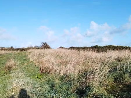 terrain à louer (recherche)