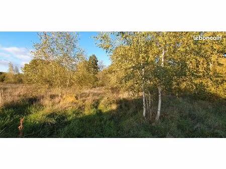 rare beau terrain 2606 m² au calme