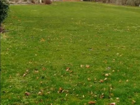 terrain constructible