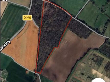 forêt à vendre