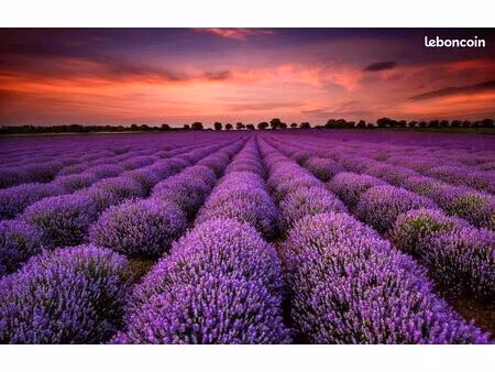 terrain 900 m² la croix en touraine