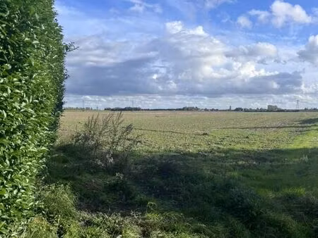 terrain 519 m² provin