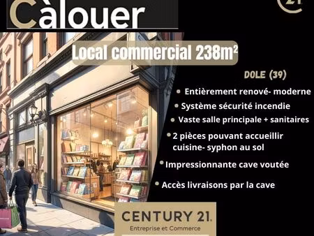 local commercial 238 m² dole